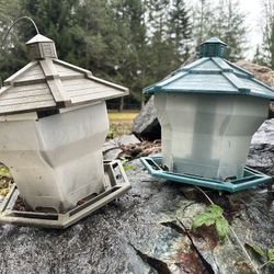 Bird Feeders 