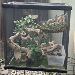 Chameleon Cage 