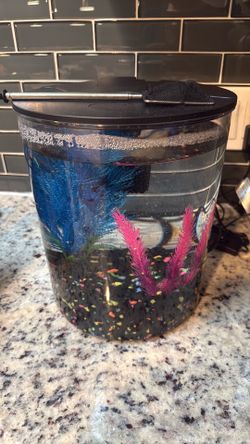 Tank and fish net and accessories for sale
