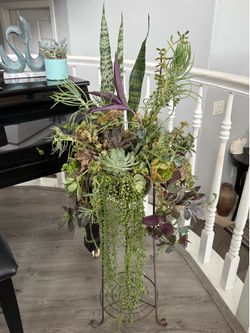 Succulent Arrangement