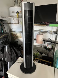 Fan