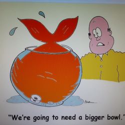 Fish Tank Aquarium Fish Rescue 