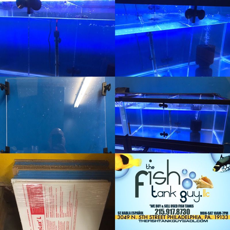 fish tank dividers that fit a 40 gallon breeder $20 each
