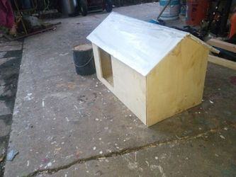 Small cat house
