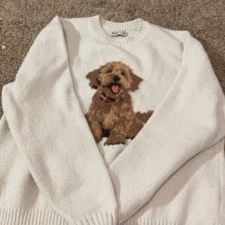 Dog Sweatshirt Hollister Size Xs