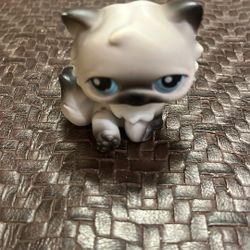 PERSIAN #60 - Authentic Littlest Pet Shop - Hasbro LPS