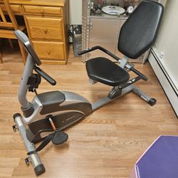 Exerpeutic Exercise Bike