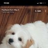 Vbundledeals