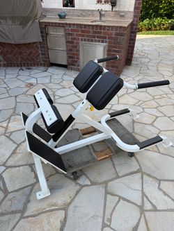 Cybex 45 Degree Back Extension