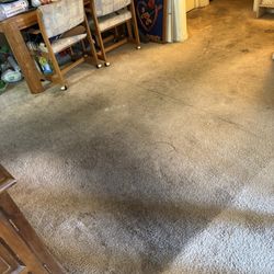 Carpet Couches Steam Shampoo 🧽