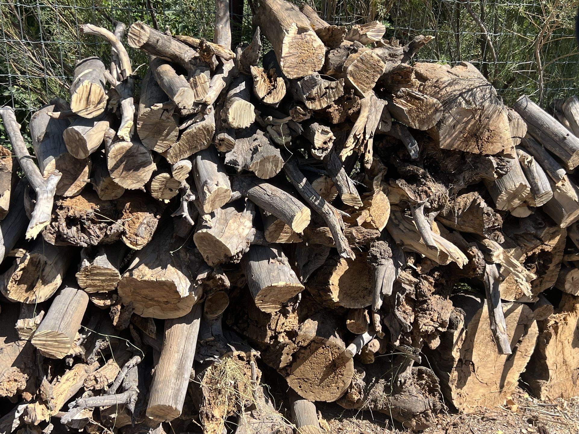 Firewood