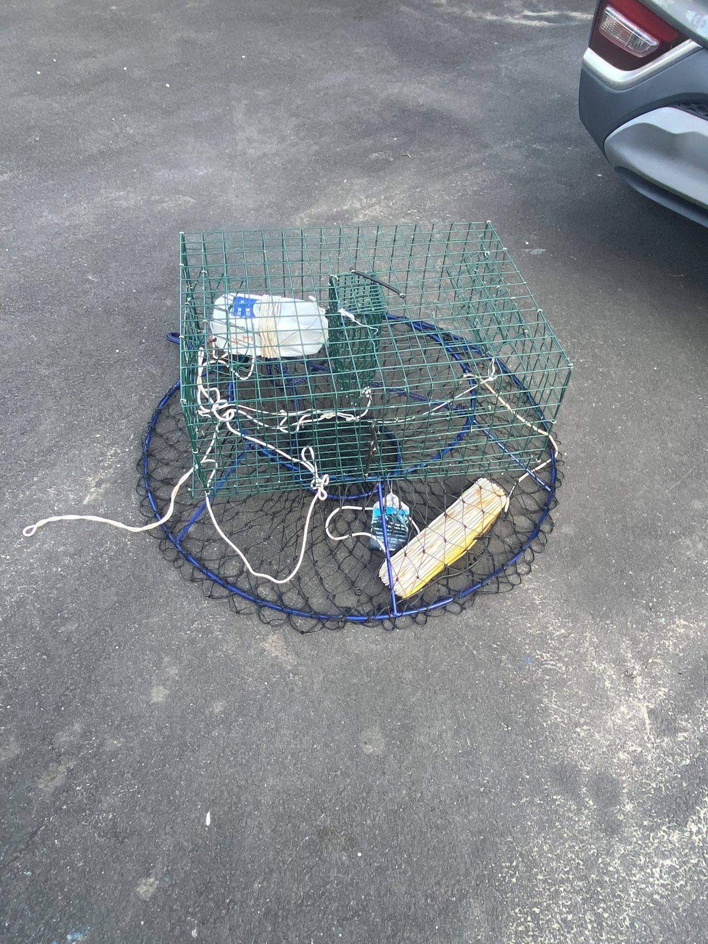 Crab Cage