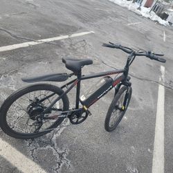 Electric Ebike