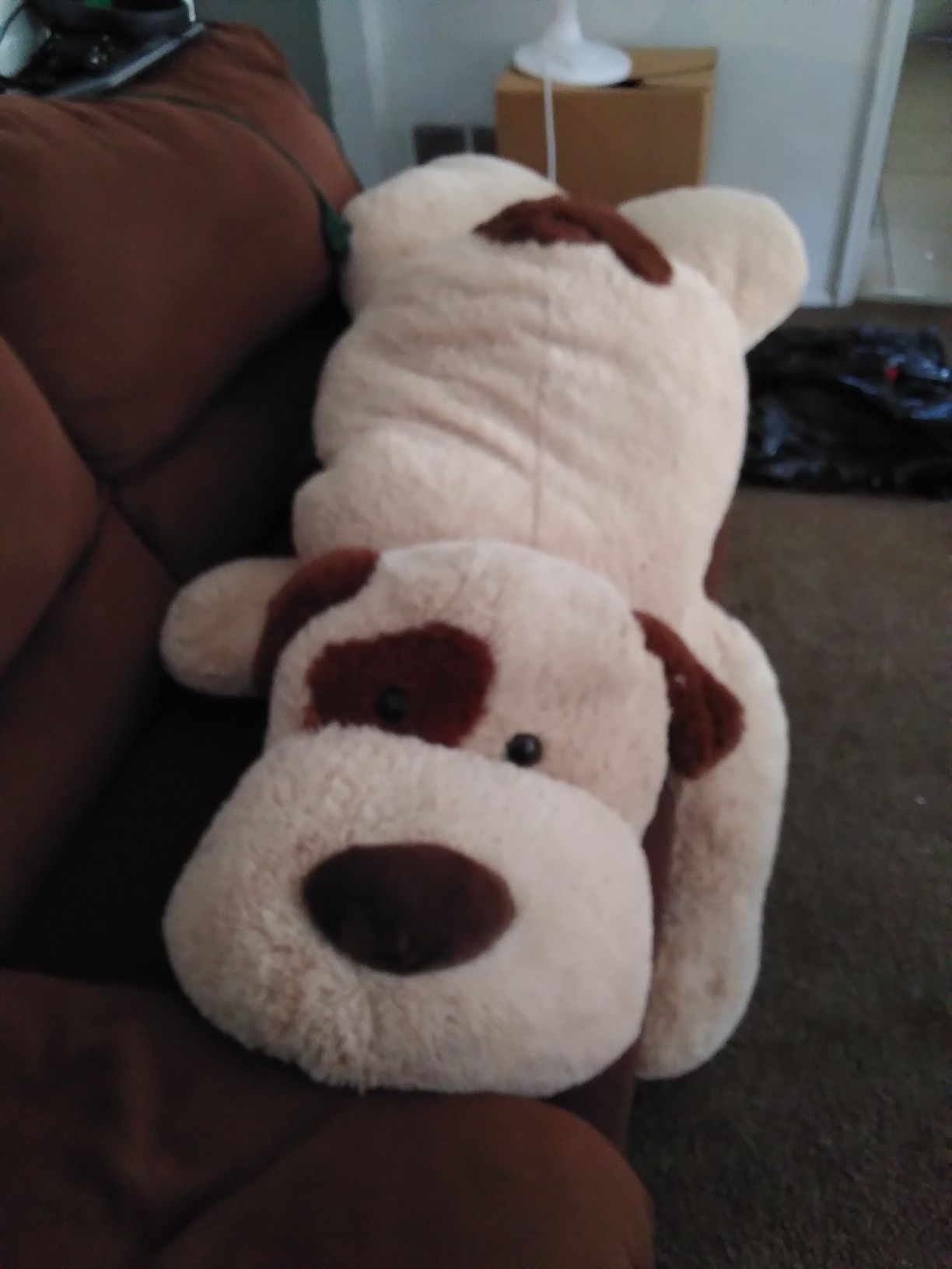 Teddy bear