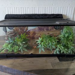 Terrarium (20 gal)