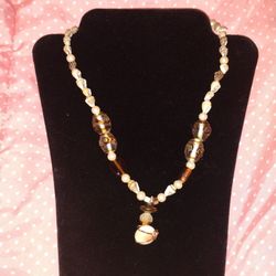 Petrified Shell Copper Shell Glass Quartz 