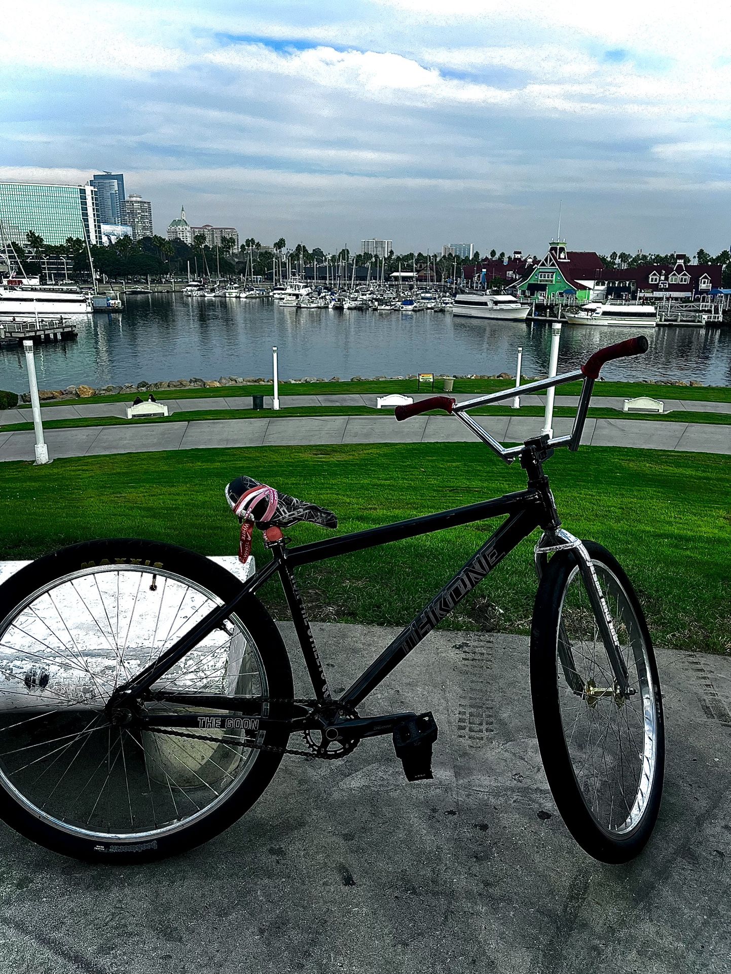 Throne 29er (trades For Another Chrome Bike Or Best Offer)