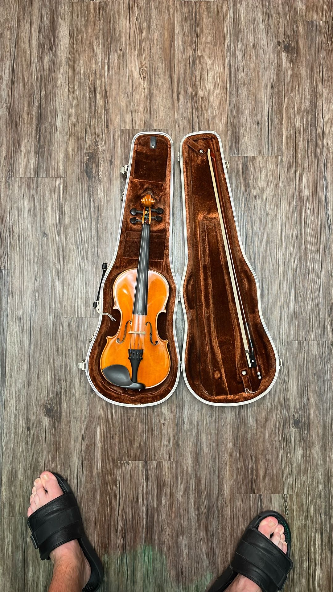 Violin