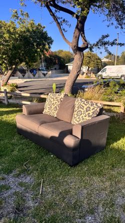Couch NEED GONE