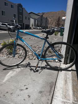 Adult Bike / Hybrid