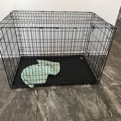 Big Dog Cage 