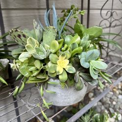 Handmade Hypertufa Concrete Succulent And Cacti Plant Arrangement Gift Idea -$10 Each 