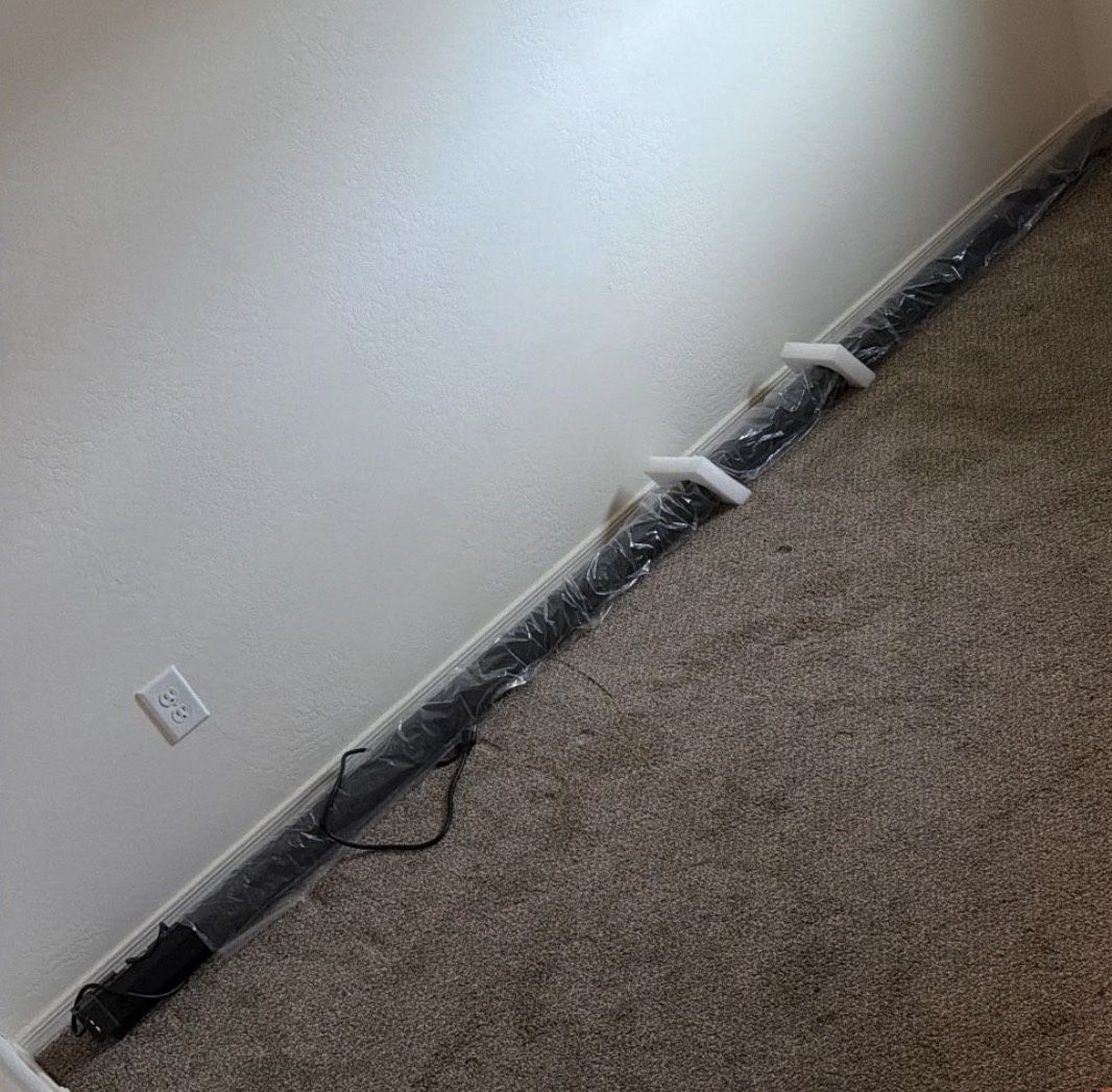 Projector Screen 125”