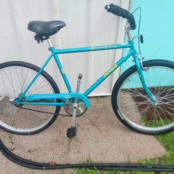 Beach Cruiser Single Speed