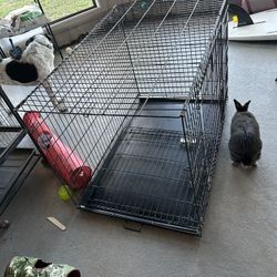 Large Dog Kennel 