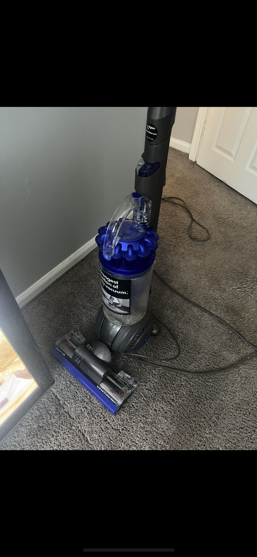 Dyson ball: Animal 2 Total Clean 