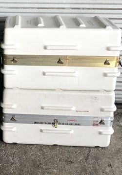 Thermodyne shipping storage case