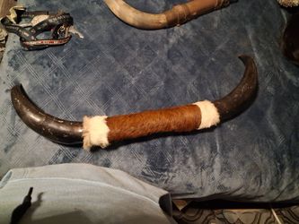 Long horns
