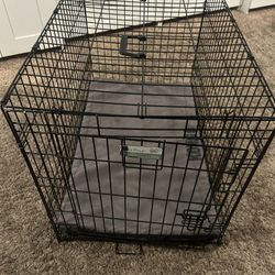medium dog crate with pad
