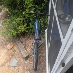 Free Stuff 