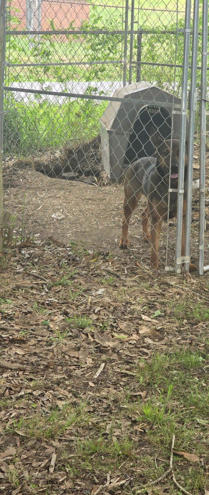 Outside Dog Kennel, Inside Dog Crate, And Dog House