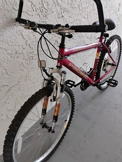 Pacific Timber Mountain Bike