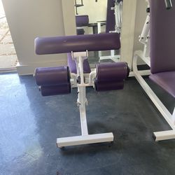 Gym Equipment 