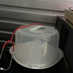 Cake Container 