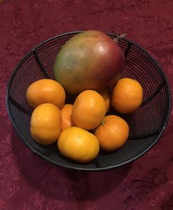 8” Round Decorative Metal Wire Bowl Basket 