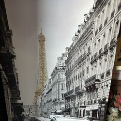 Paris Picture 