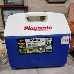 Igloo Cooler (Playmate)