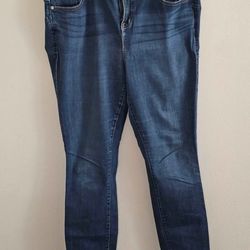 Woman's Torrid Skinny Jeans Size 18