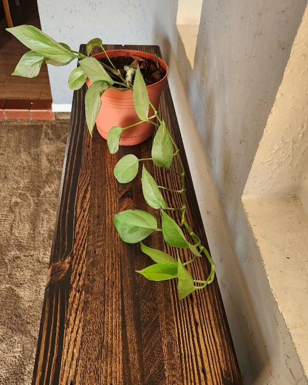 Decorative Espresso Console Table