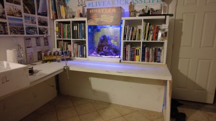 Desk With Salt Water Reef Tank
