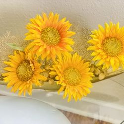 Flores Girasoles 