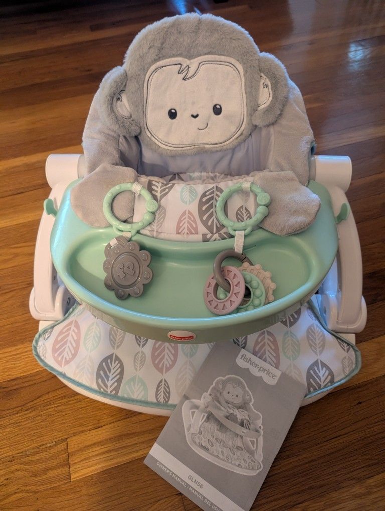 Fisherprice Snugamonkey Sit Me Up Floor Seat