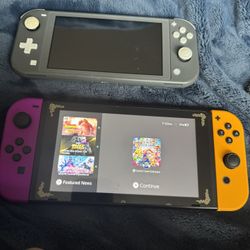 Nintendo Switch Handheld System And Nintendo Switch Lite
