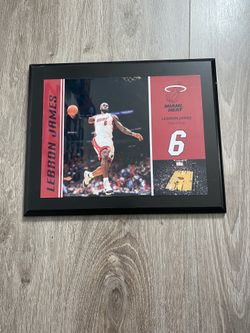 Lebron James Miami Heat Frame 