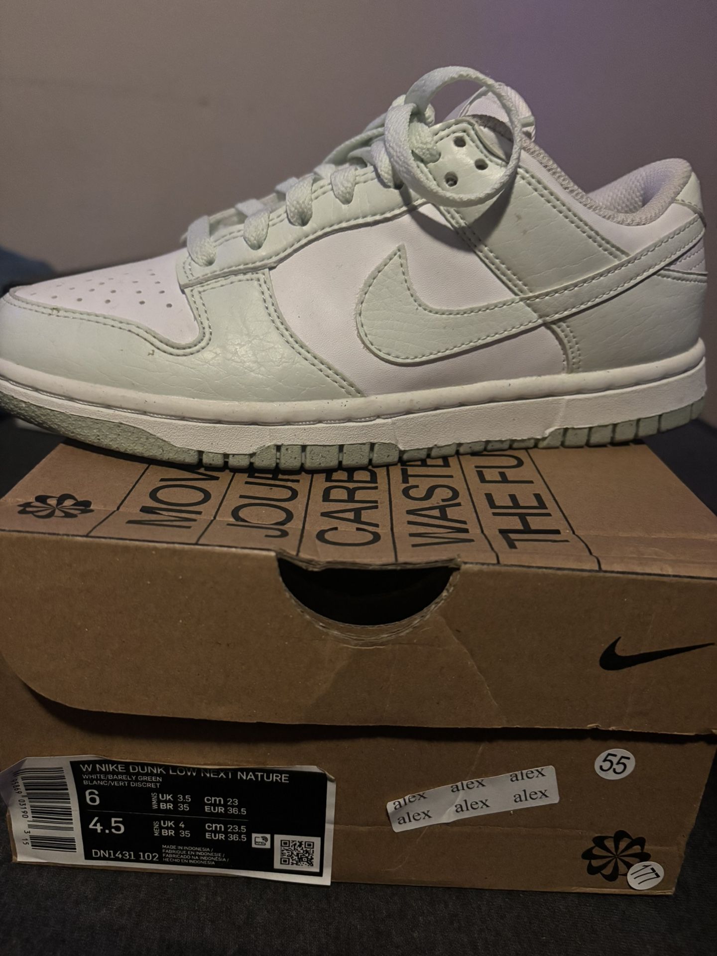 Woman Dunk Lows Next Nature