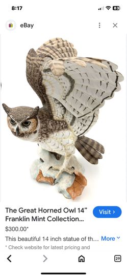 The Great Horned Owl